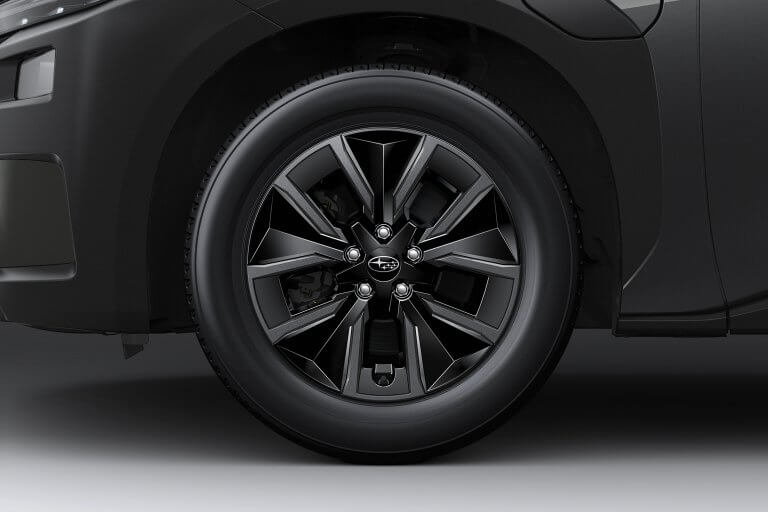 subaru e-outback niestcar heemskerk proefrit