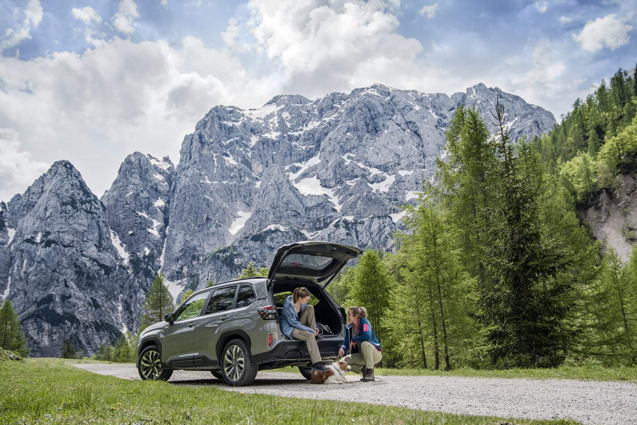 subaru forester 2025 bij niestcar in heemskerk