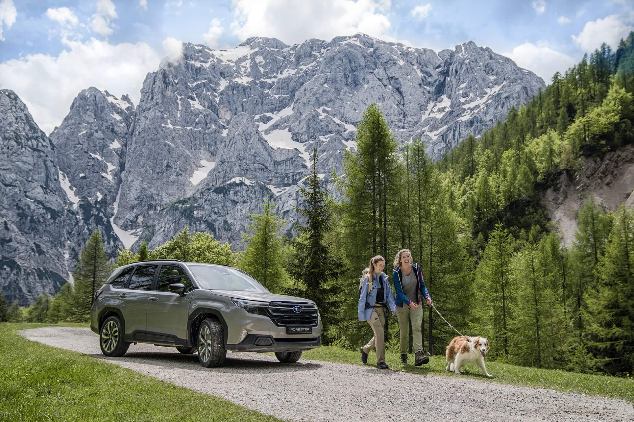 subaru forester 2025 bij niestcar in heemskerk