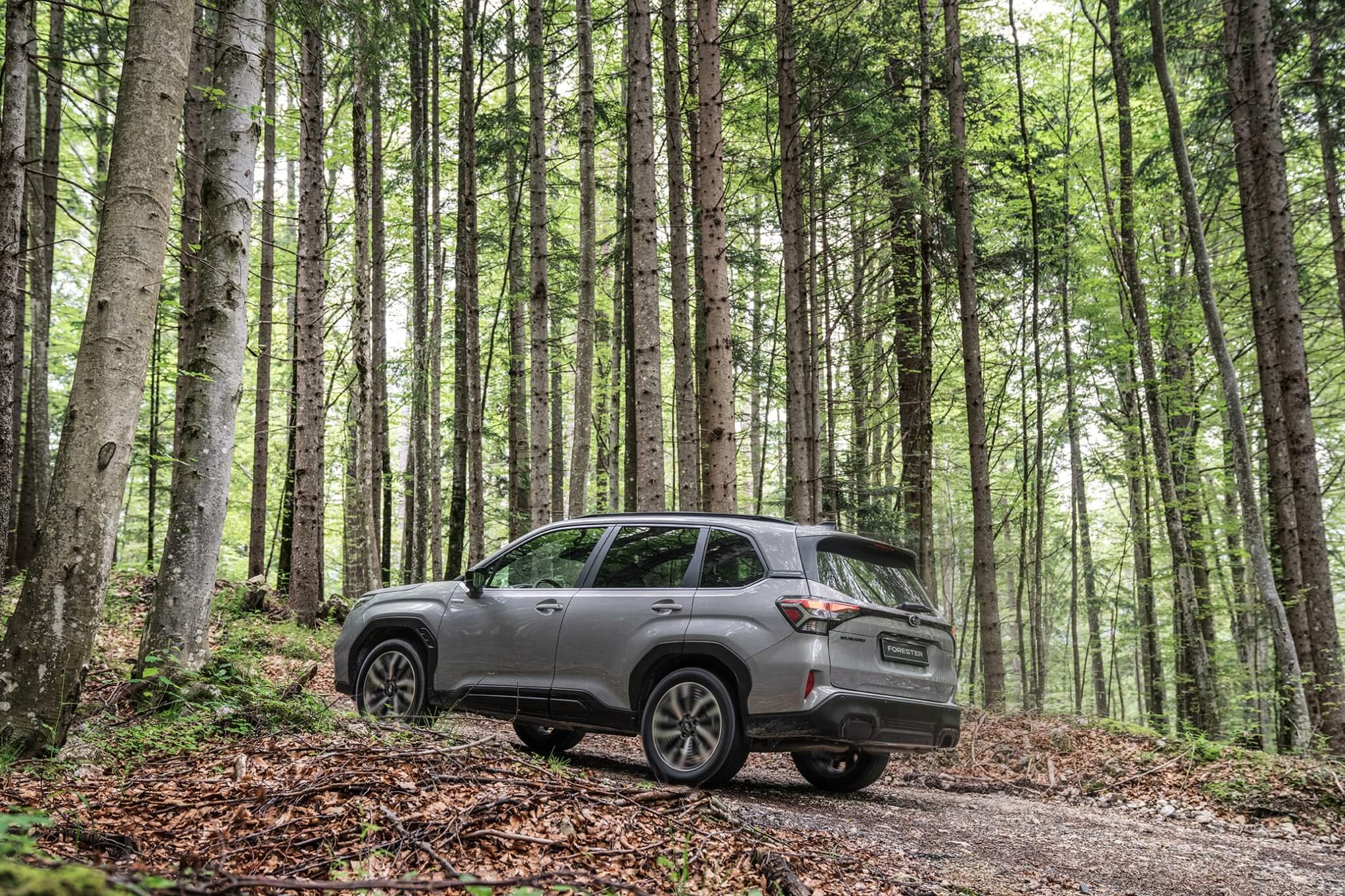 subaru forester 2025 bij niestcar in heemskerk