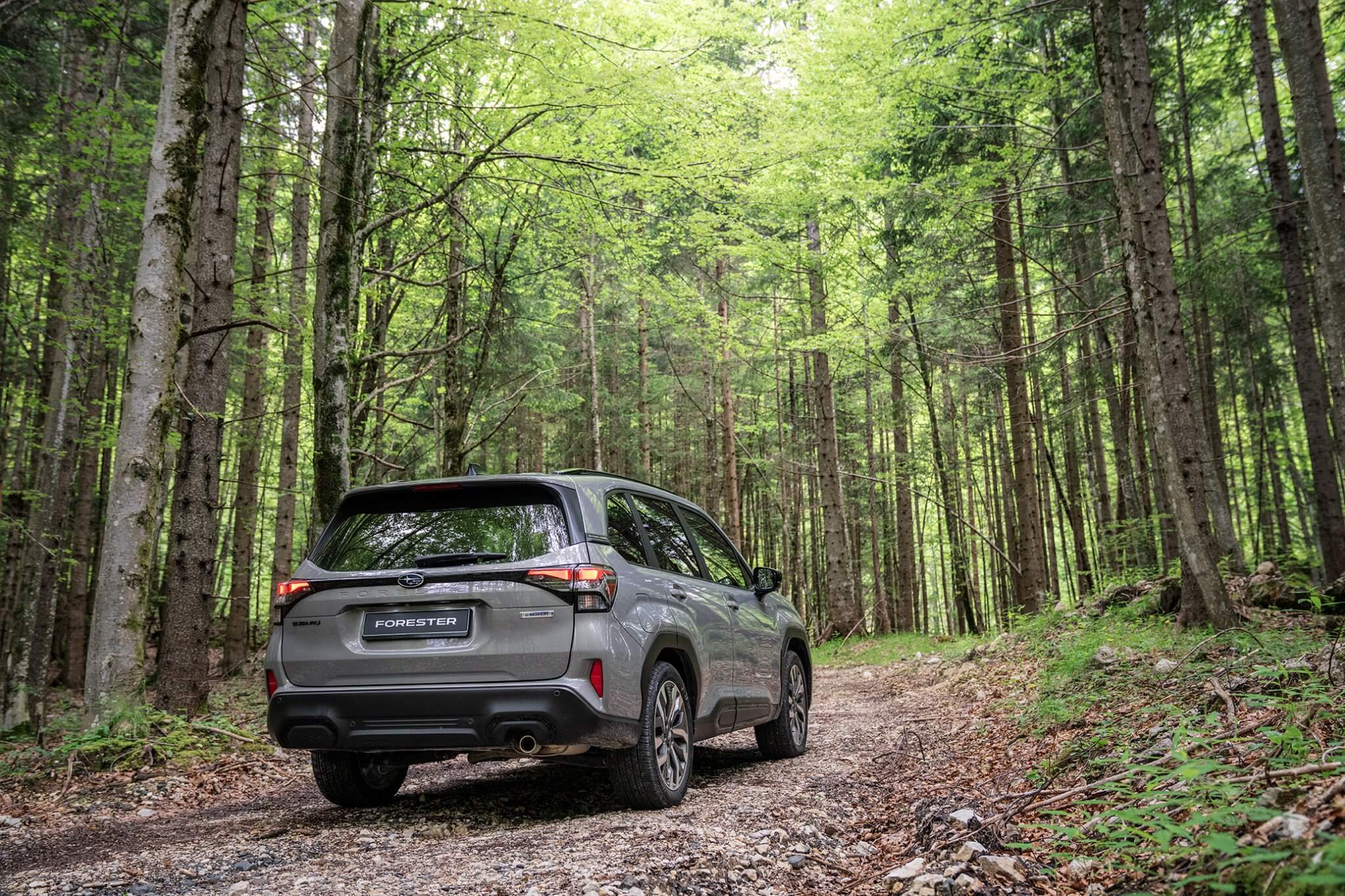 subaru forester 2025 bij niestcar in heemskerk