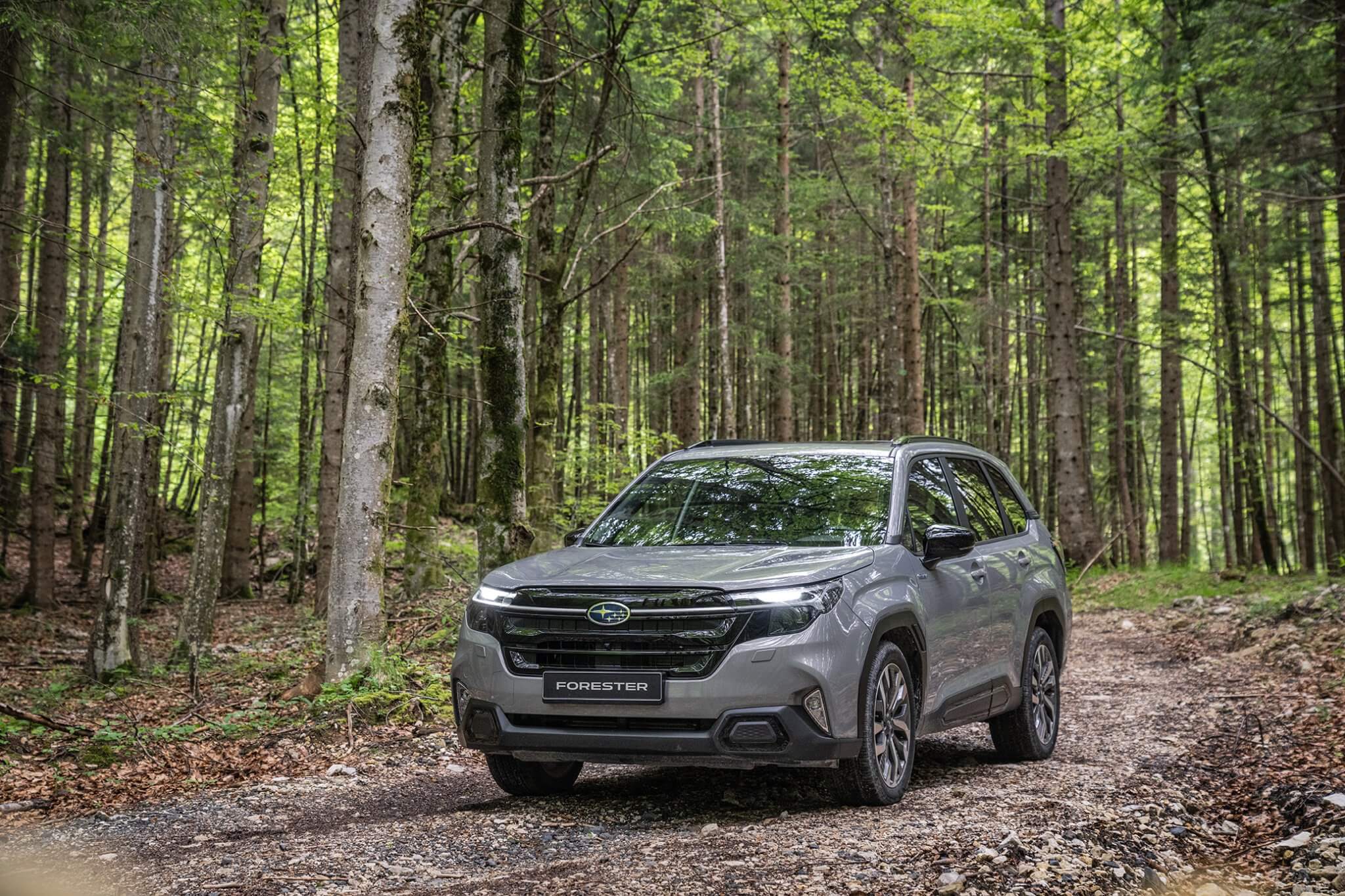 subaru forester 2025 bij niestcar in heemskerk