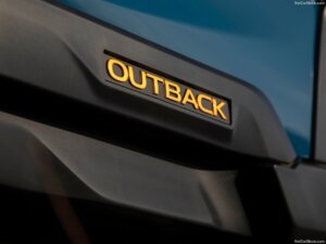 Subaru outback wilderness edition gouden belettering logo niestcar heemskerk